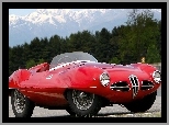 Zabytkowy, Alfa Romeo, Spider